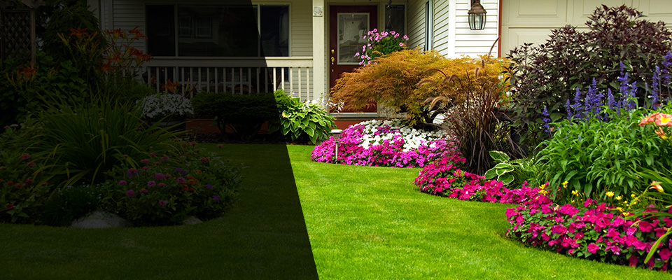 Topanga Landscapers